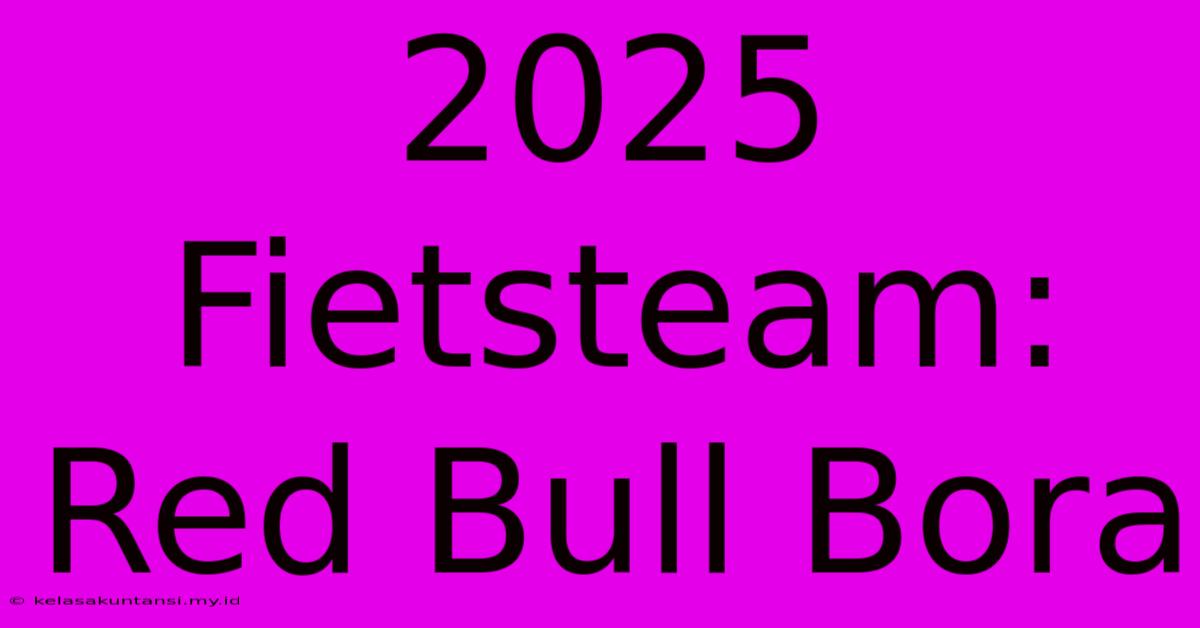 2025 Fietsteam: Red Bull Bora