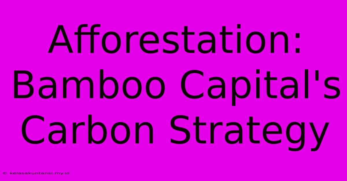 Afforestation: Bamboo Capital's Carbon Strategy