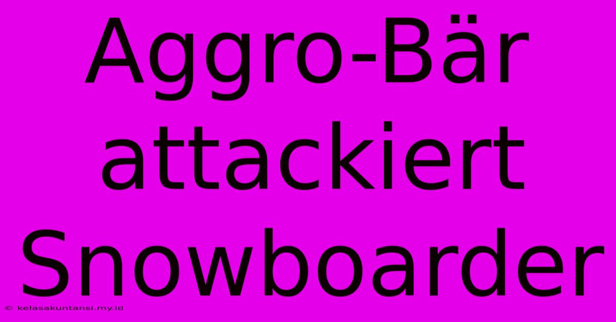 Aggro-Bär Attackiert Snowboarder