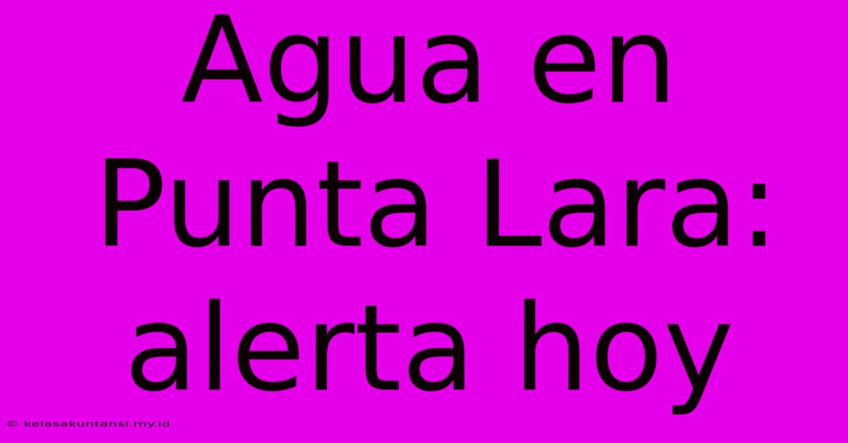 Agua En Punta Lara: Alerta Hoy