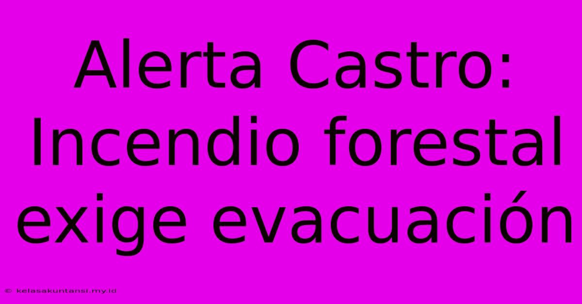 Alerta Castro: Incendio Forestal Exige Evacuación