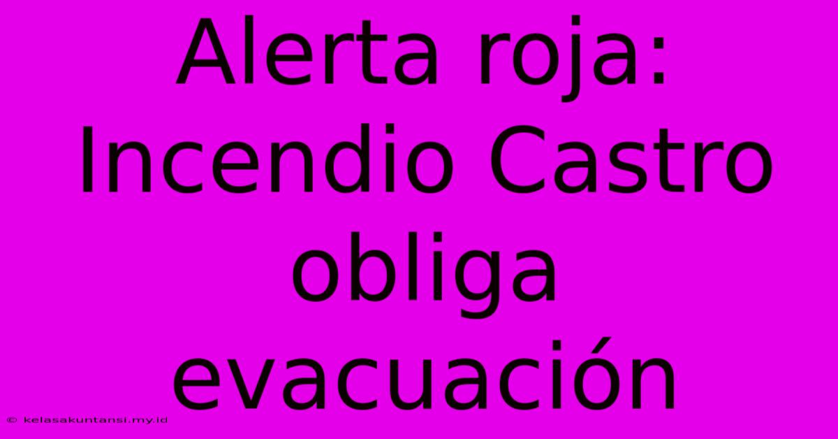 Alerta Roja: Incendio Castro Obliga Evacuación