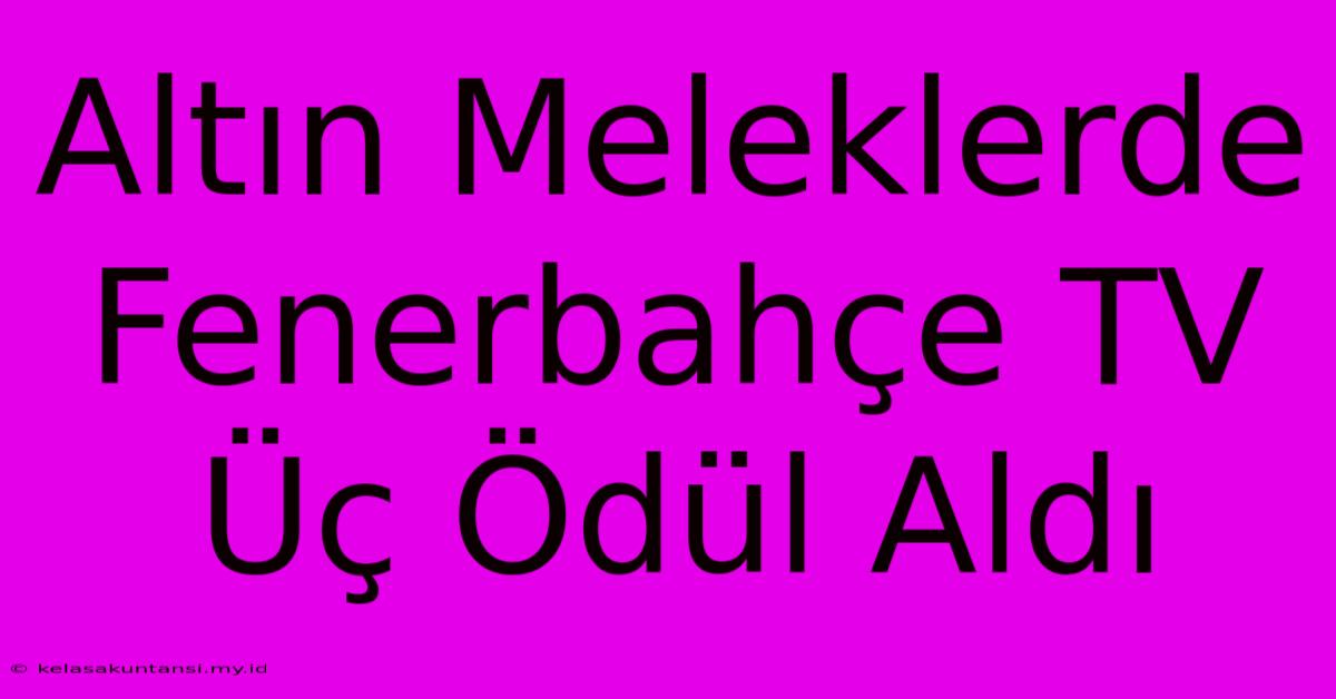 Altın Meleklerde Fenerbahçe TV Üç Ödül Aldı