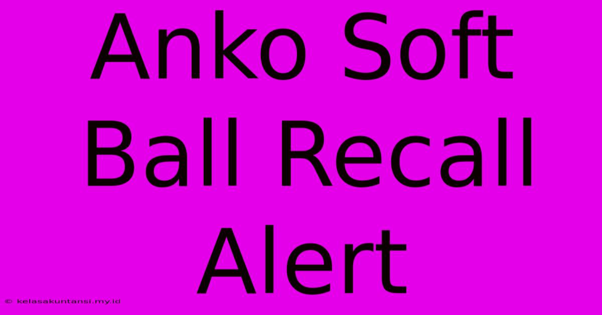 Anko Soft Ball Recall Alert