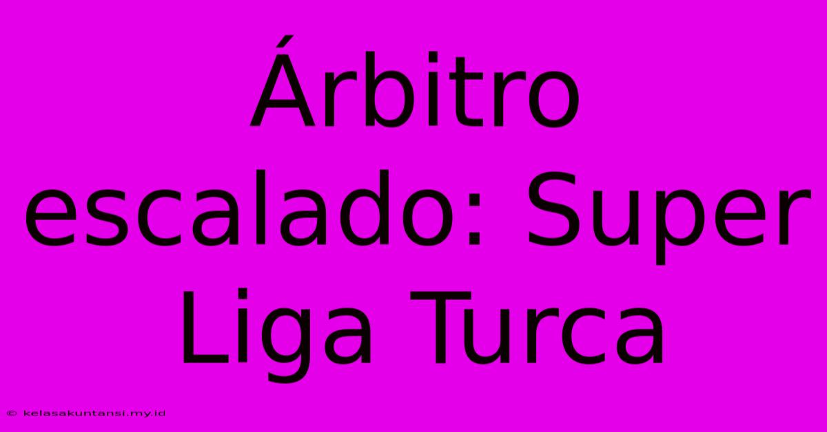 Árbitro Escalado: Super Liga Turca