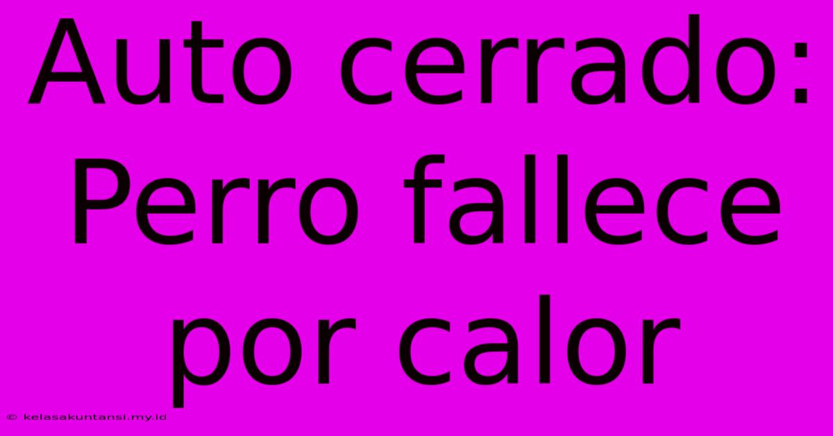 Auto Cerrado: Perro Fallece Por Calor