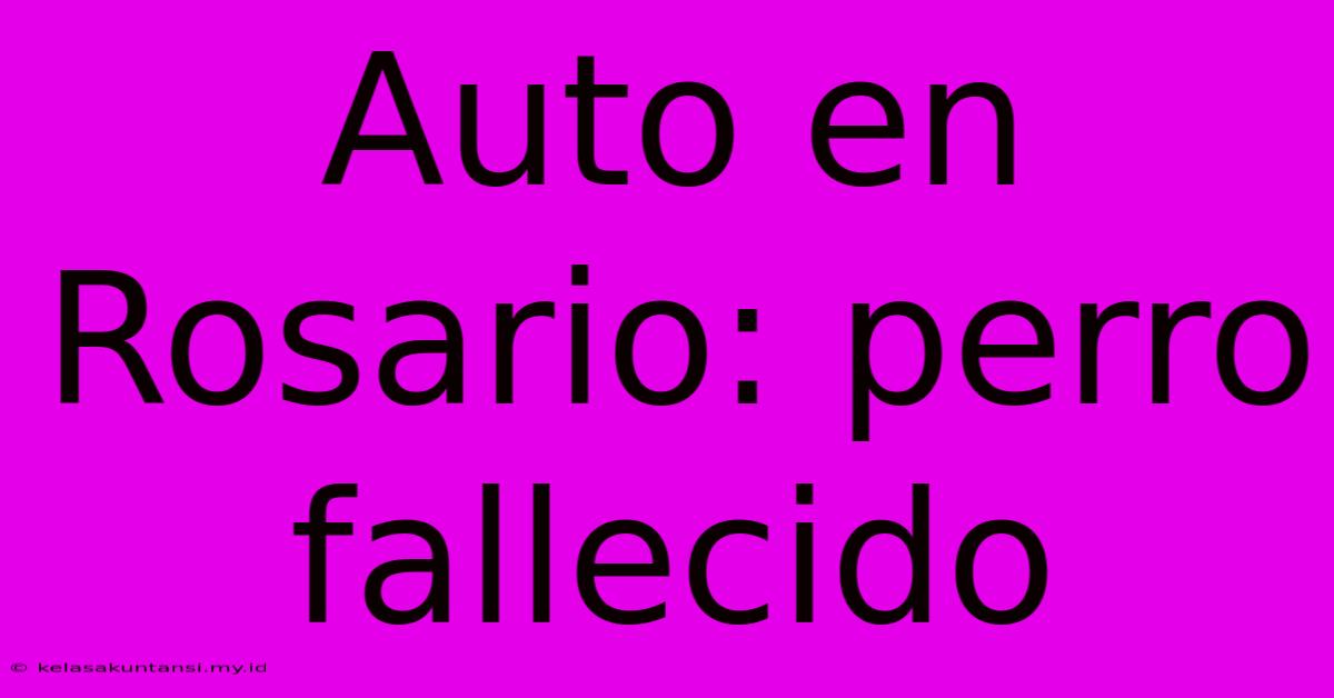 Auto En Rosario: Perro Fallecido