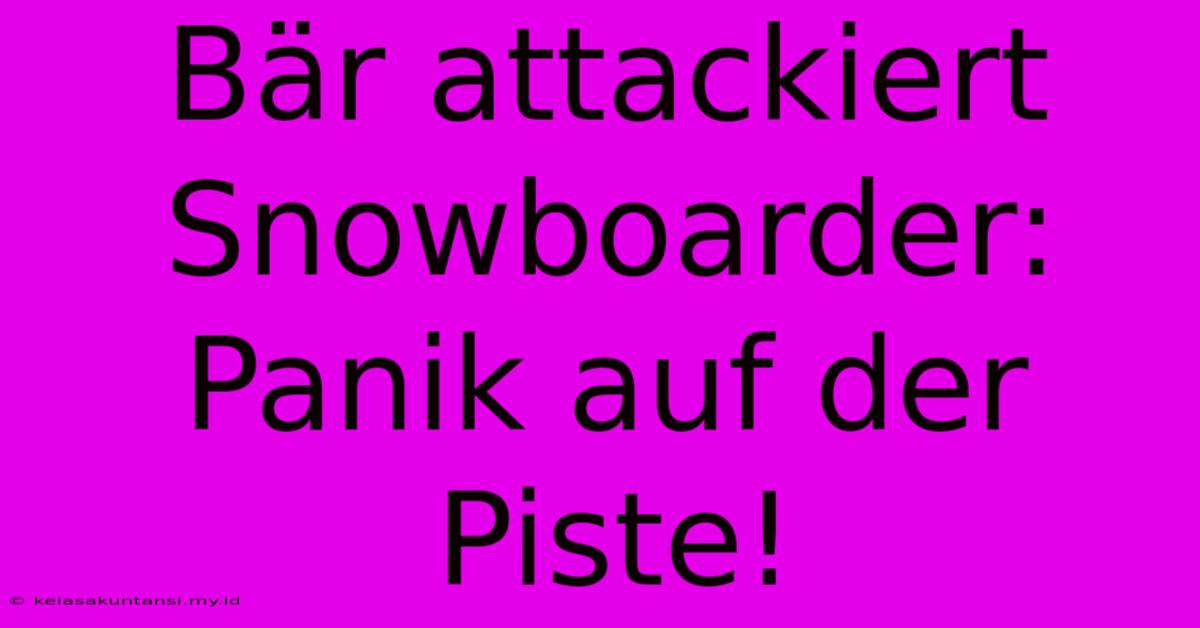 Bär Attackiert Snowboarder: Panik Auf Der Piste!