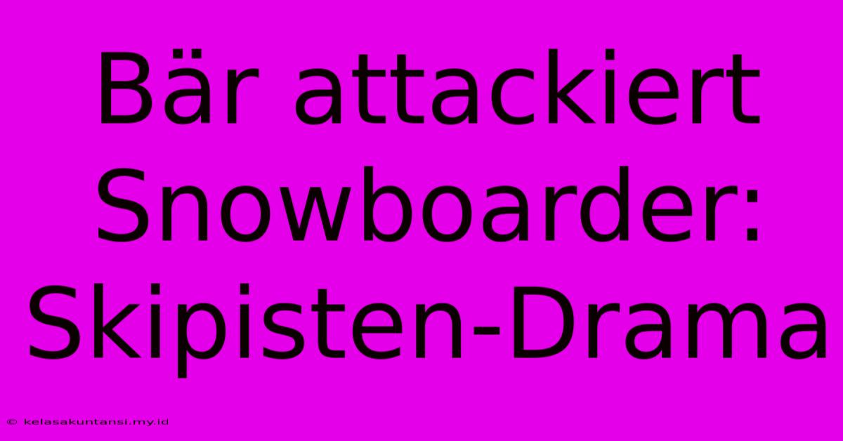 Bär Attackiert Snowboarder: Skipisten-Drama