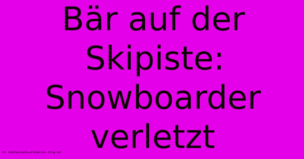 Bär Auf Der Skipiste: Snowboarder Verletzt