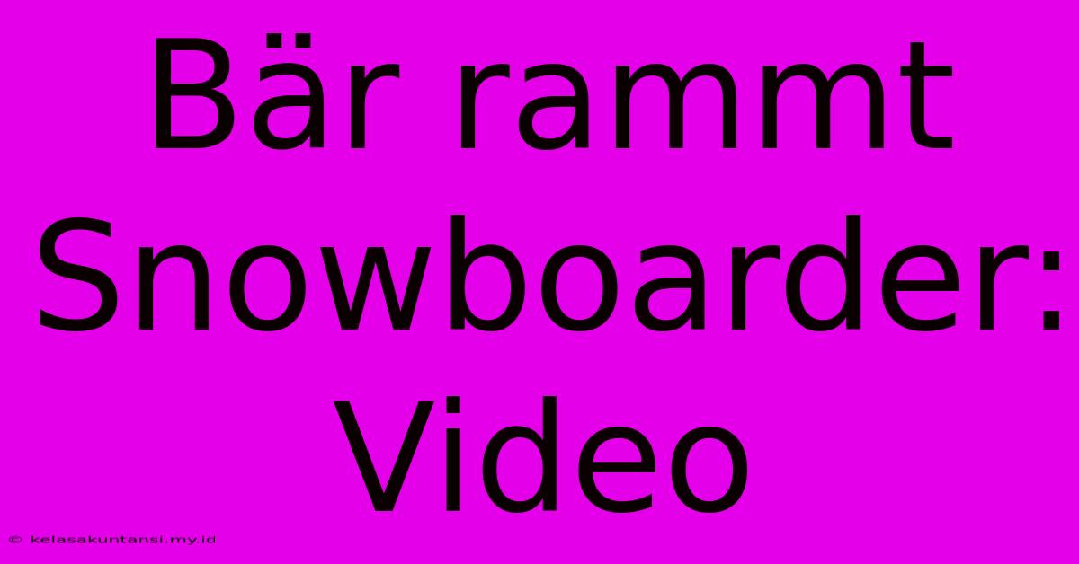 Bär Rammt Snowboarder: Video