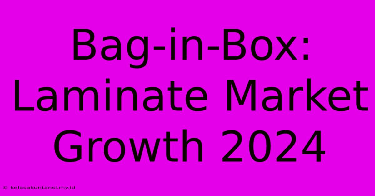 Bag-in-Box: Laminate Market Growth 2024