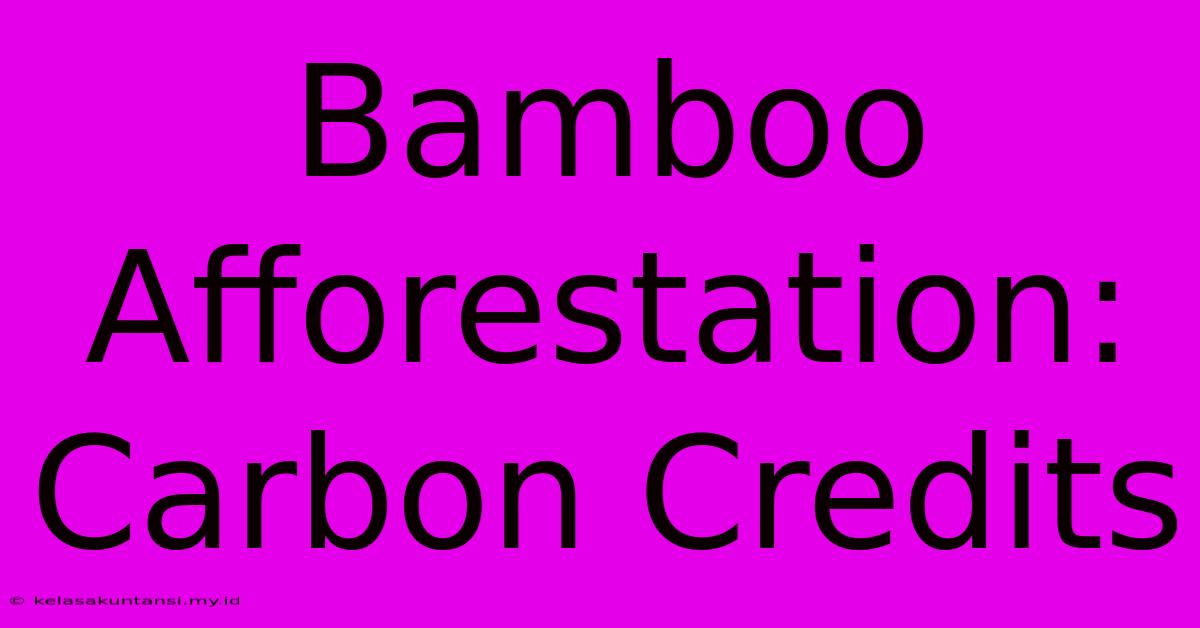 Bamboo Afforestation: Carbon Credits