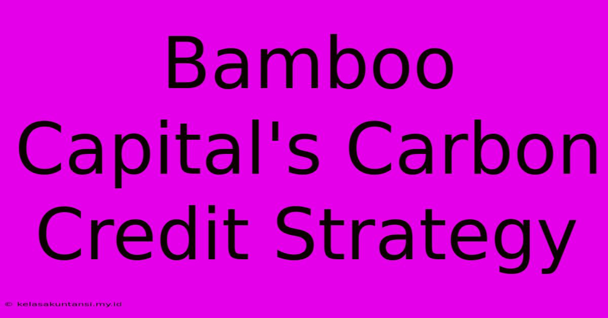 Bamboo Capital's Carbon Credit Strategy