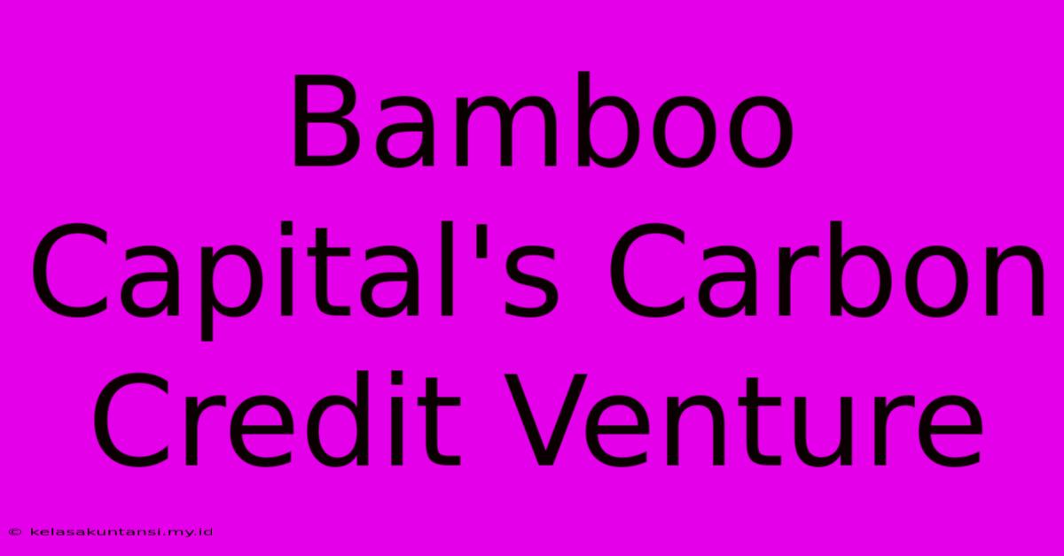 Bamboo Capital's Carbon Credit Venture