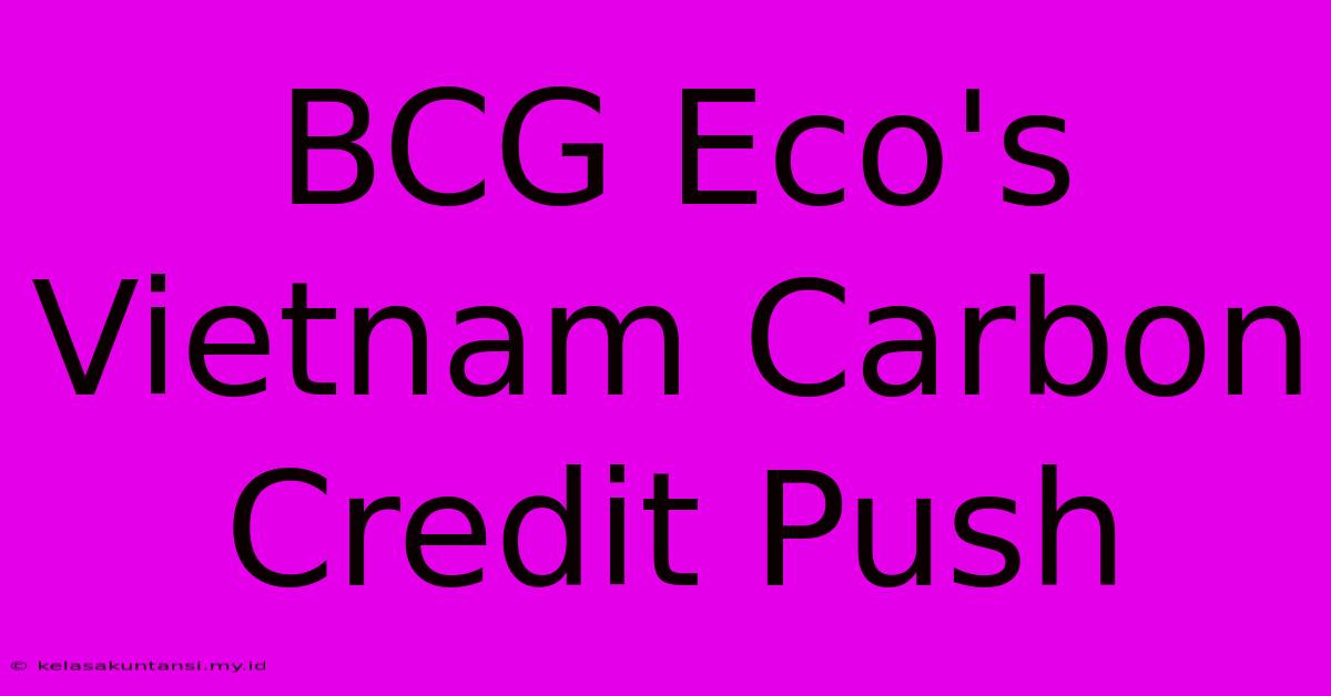 BCG Eco's Vietnam Carbon Credit Push