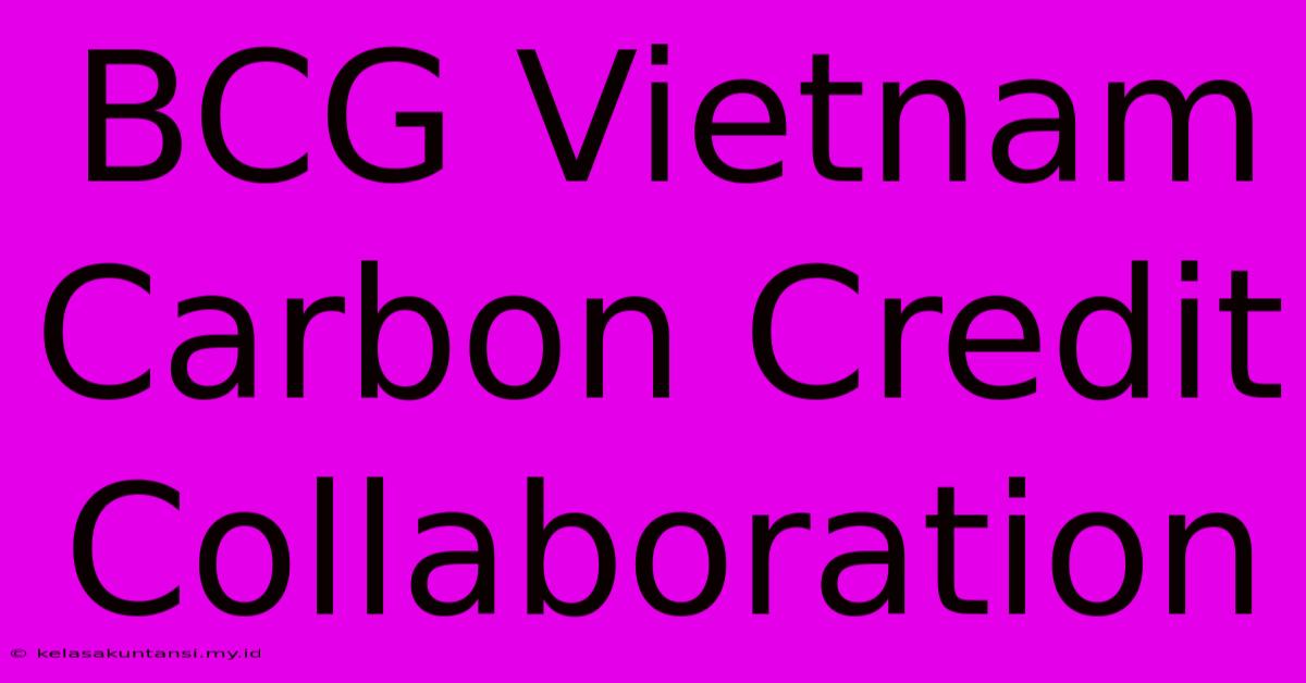 BCG Vietnam Carbon Credit Collaboration