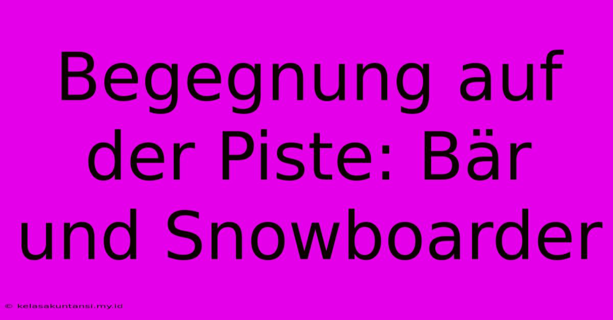 Begegnung Auf Der Piste: Bär Und Snowboarder