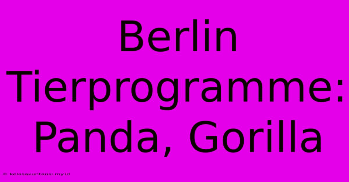 Berlin Tierprogramme: Panda, Gorilla