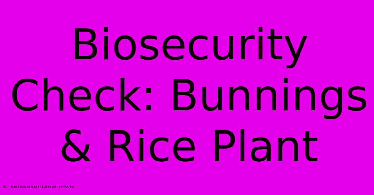 Biosecurity Check: Bunnings & Rice Plant