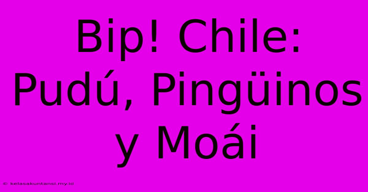 Bip! Chile: Pudú, Pingüinos Y Moái