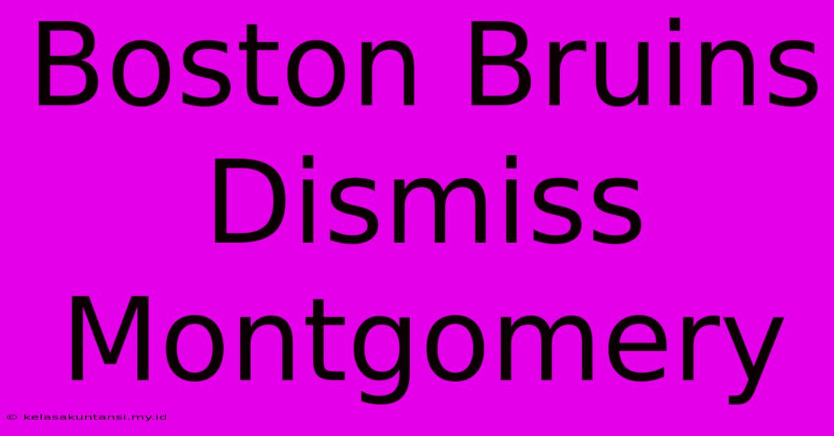 Boston Bruins Dismiss Montgomery