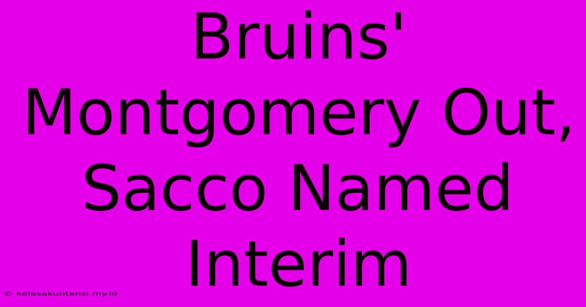 Bruins' Montgomery Out, Sacco Named Interim