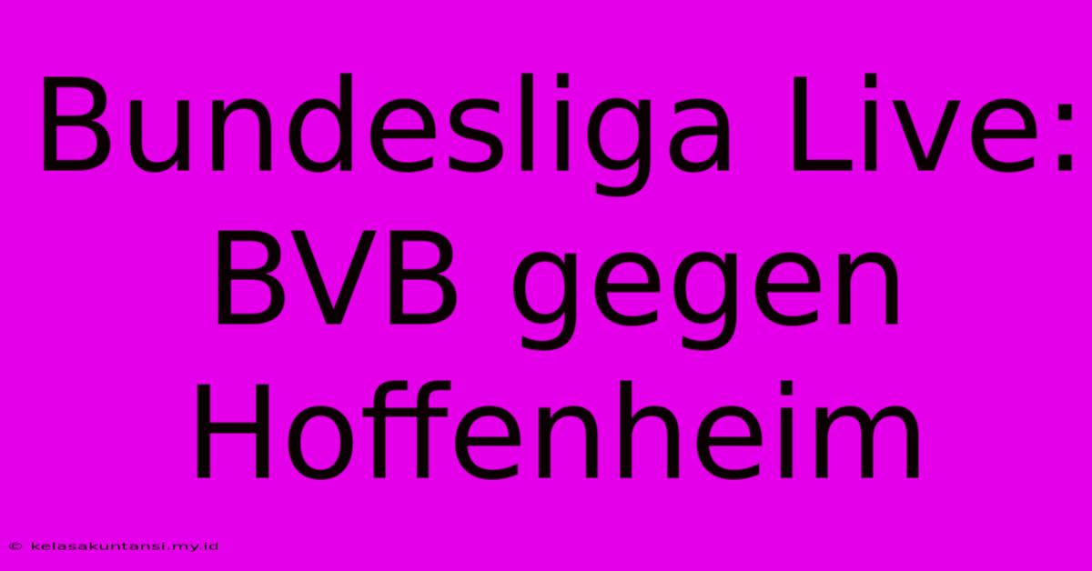 Bundesliga Live: BVB Gegen Hoffenheim