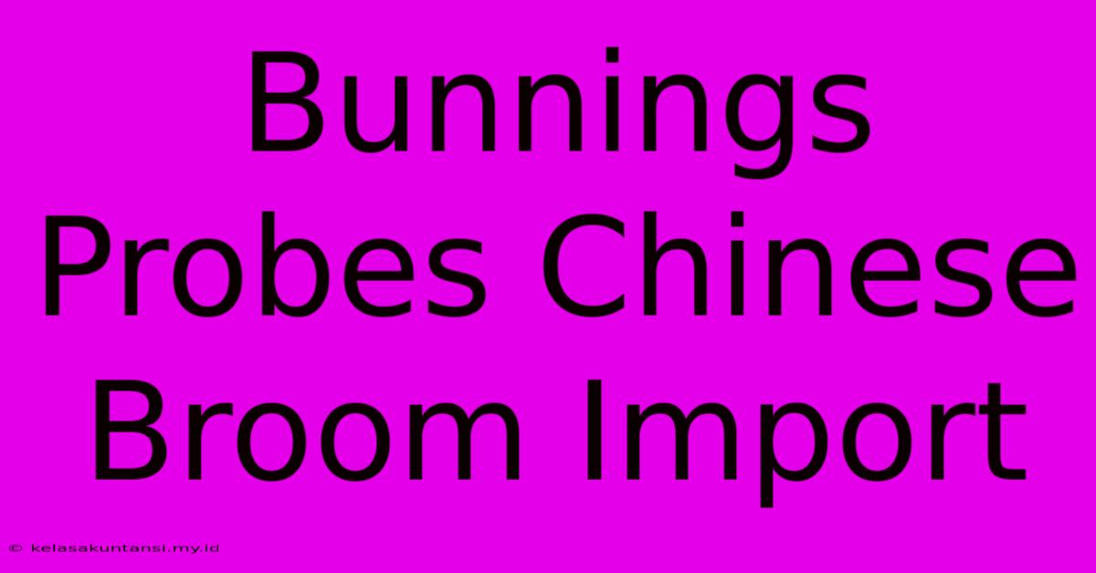 Bunnings Probes Chinese Broom Import