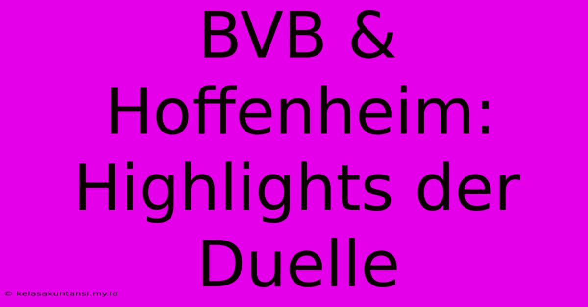 BVB & Hoffenheim: Highlights Der Duelle