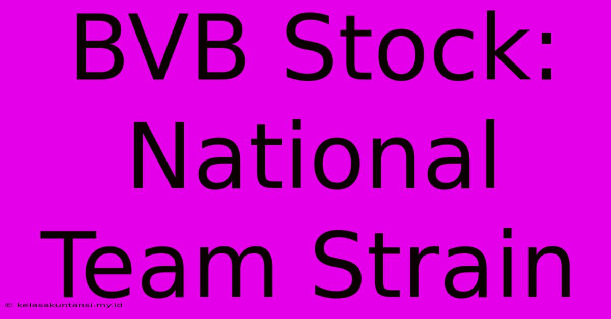 BVB Stock: National Team Strain