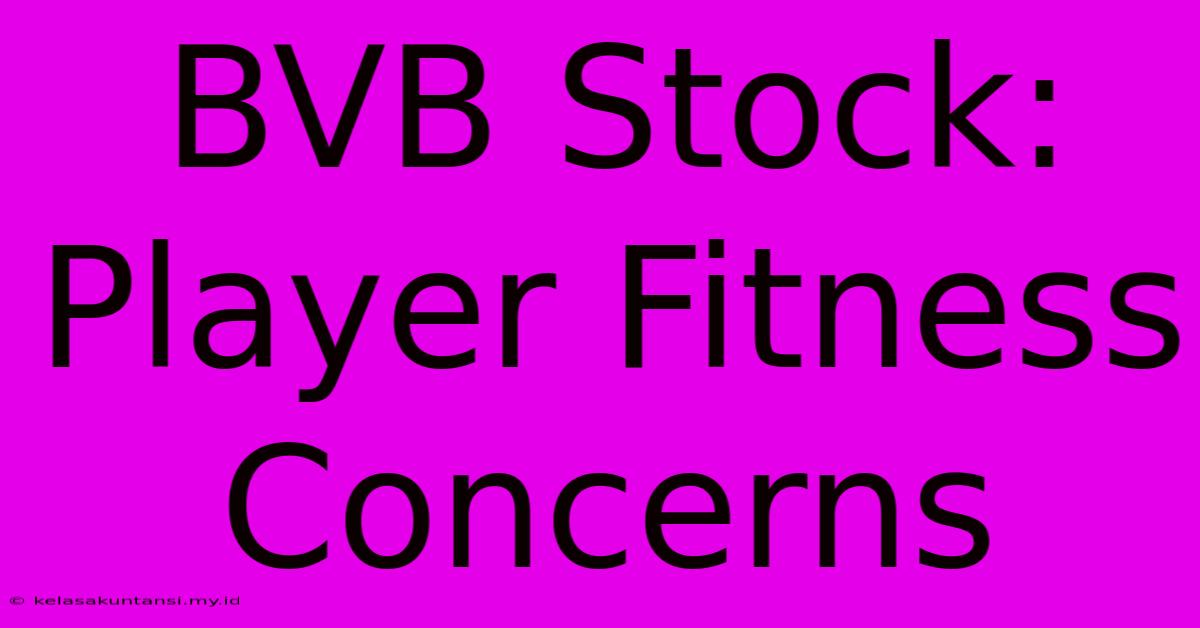 BVB Stock: Player Fitness Concerns