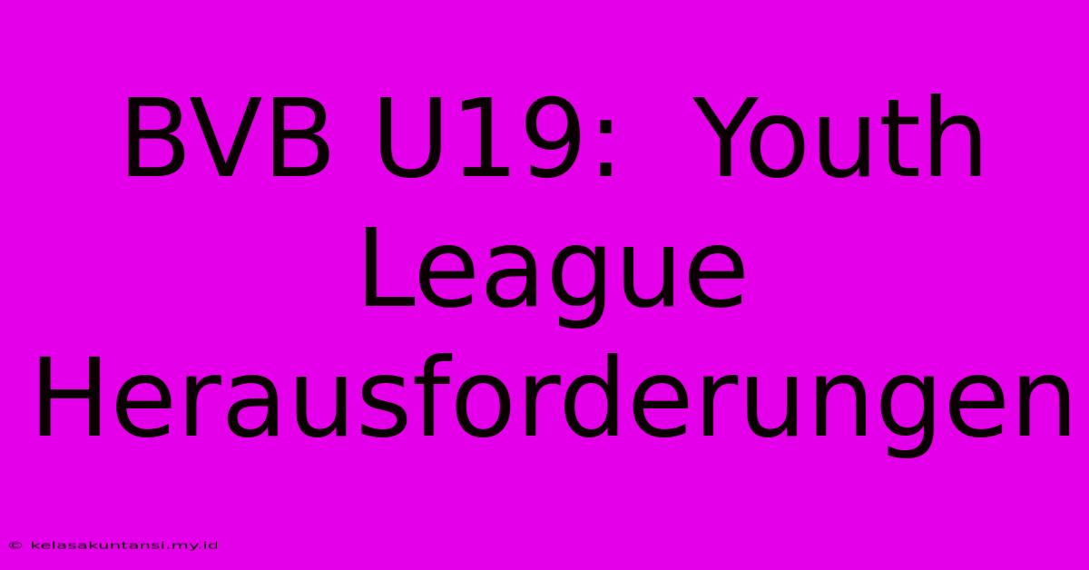 BVB U19:  Youth League Herausforderungen