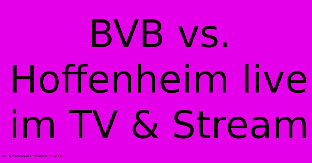 BVB Vs. Hoffenheim Live Im TV & Stream