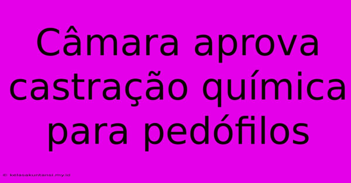 Câmara Aprova Castração Química Para Pedófilos