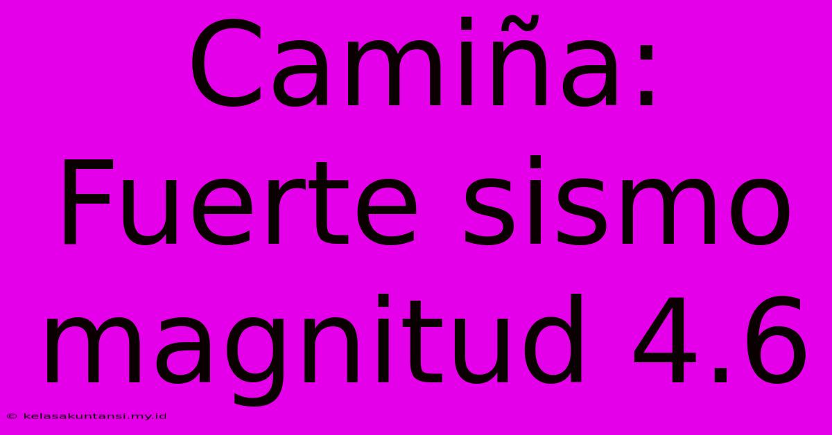 Camiña: Fuerte Sismo Magnitud 4.6