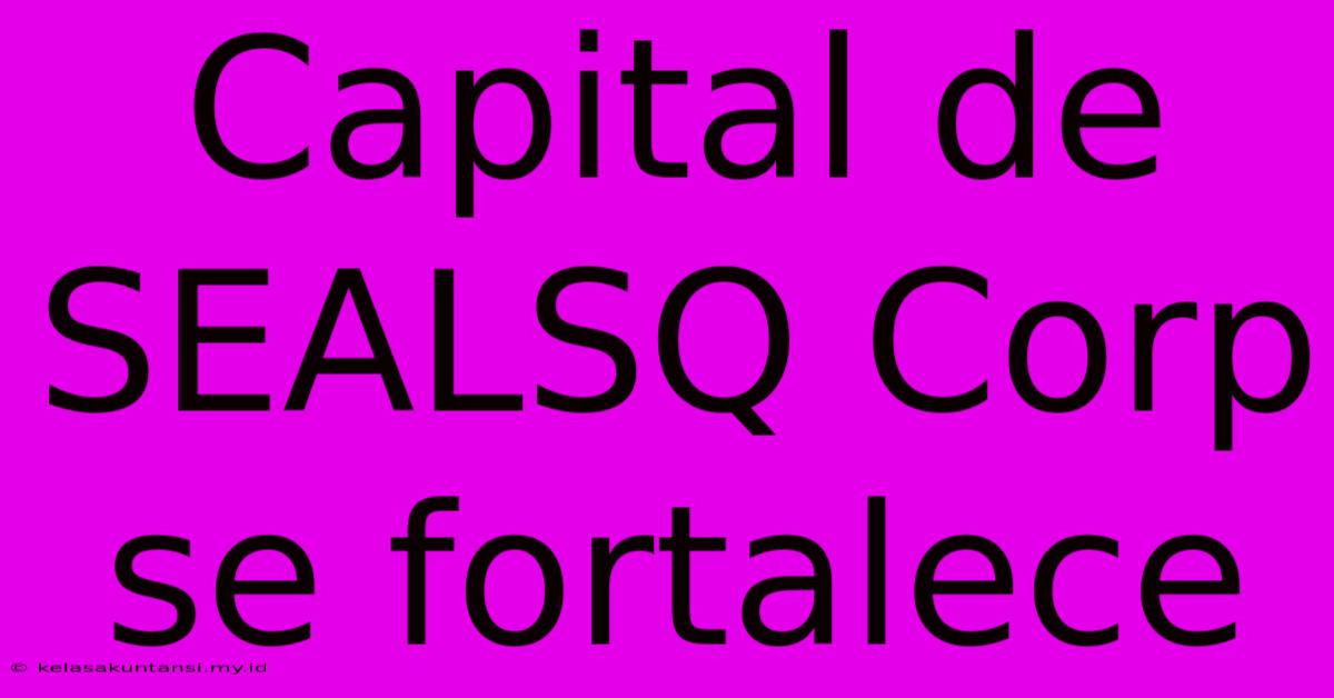 Capital De SEALSQ Corp Se Fortalece