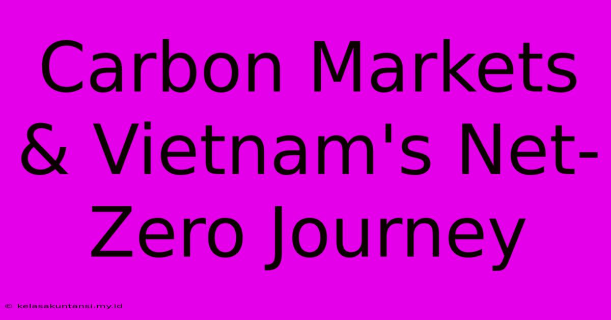 Carbon Markets & Vietnam's Net-Zero Journey