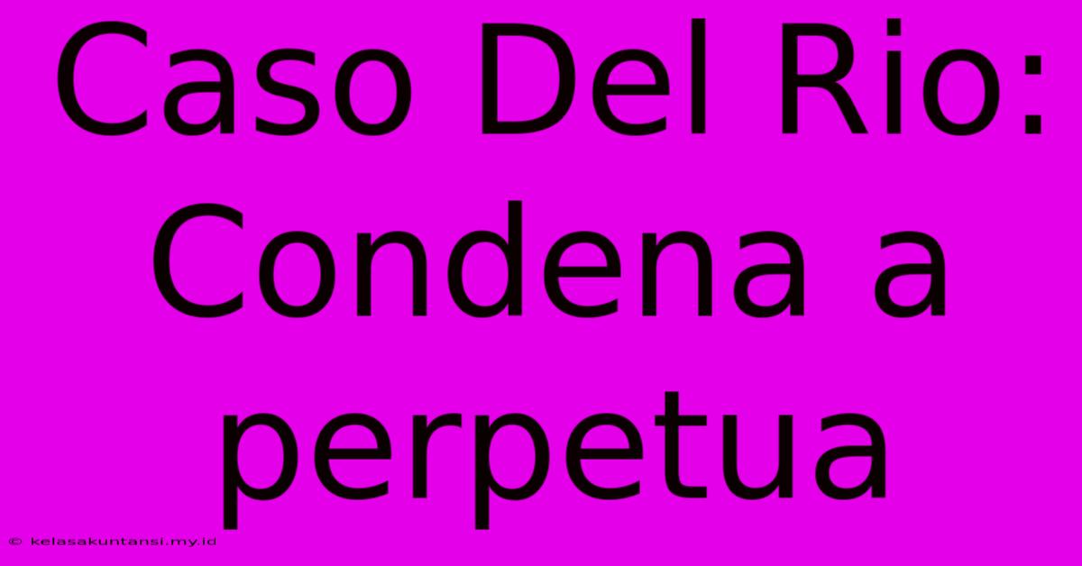 Caso Del Rio: Condena A Perpetua