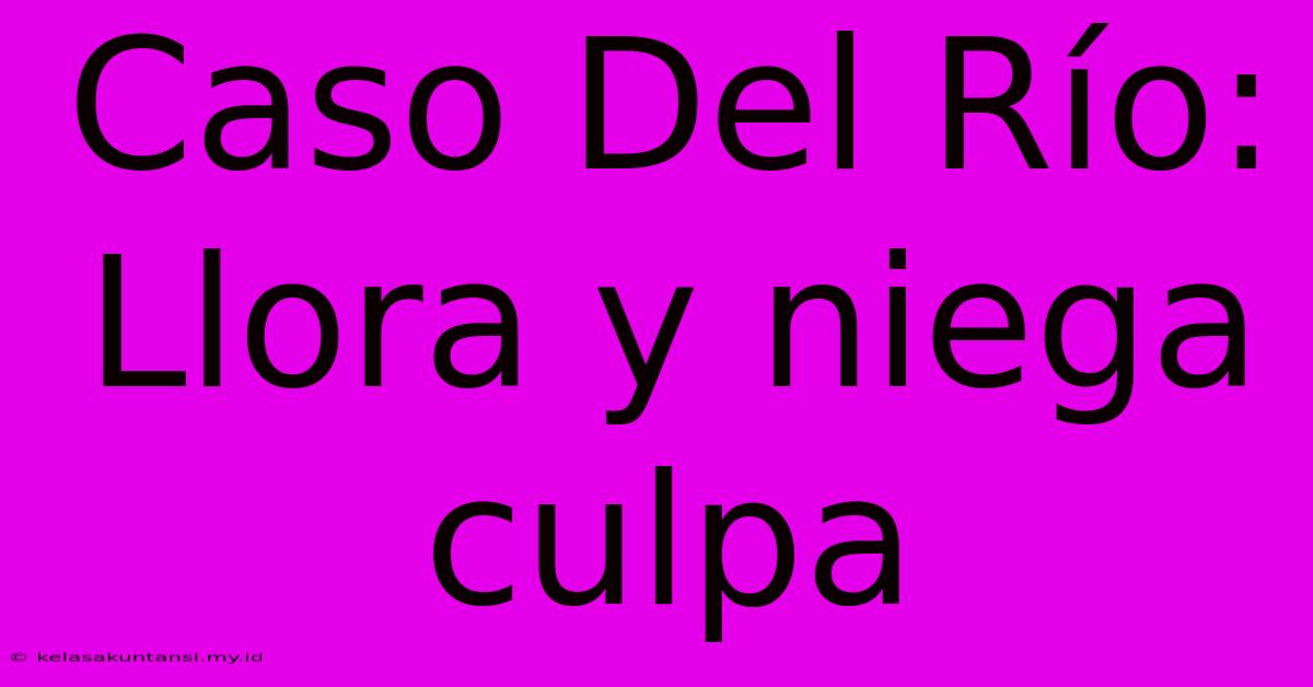 Caso Del Río: Llora Y Niega Culpa