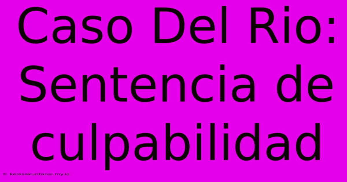 Caso Del Rio: Sentencia De Culpabilidad