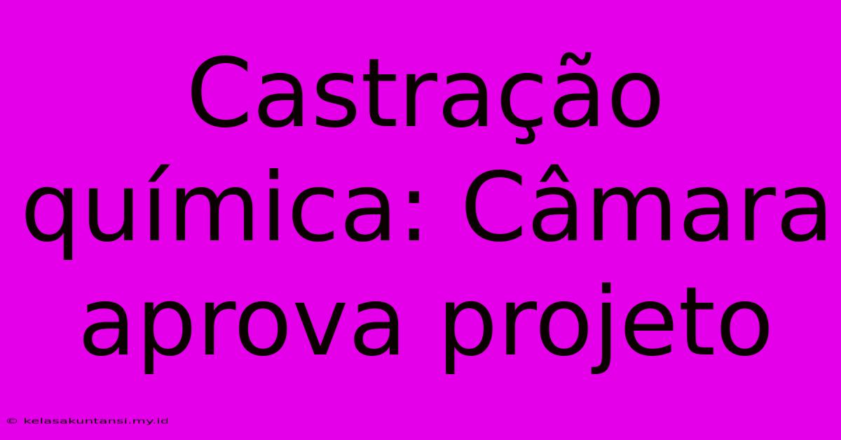 Castração Química: Câmara Aprova Projeto