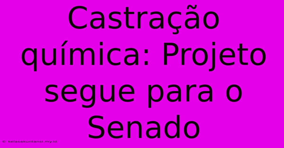 Castração Química: Projeto Segue Para O Senado