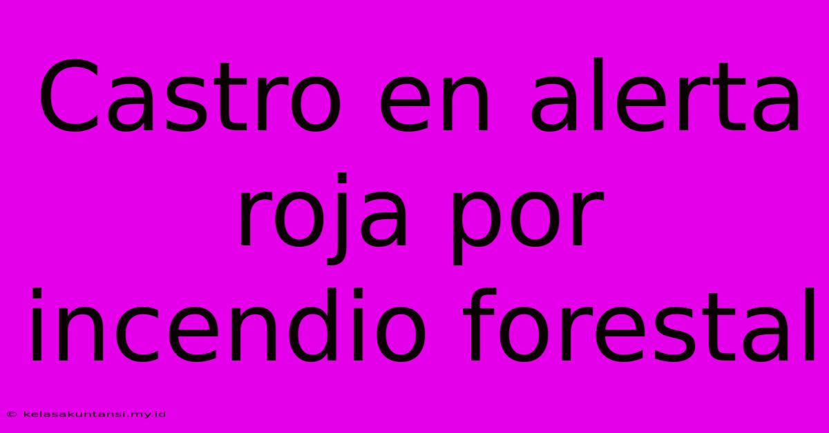 Castro En Alerta Roja Por Incendio Forestal