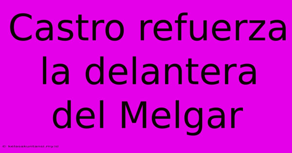 Castro Refuerza La Delantera Del Melgar