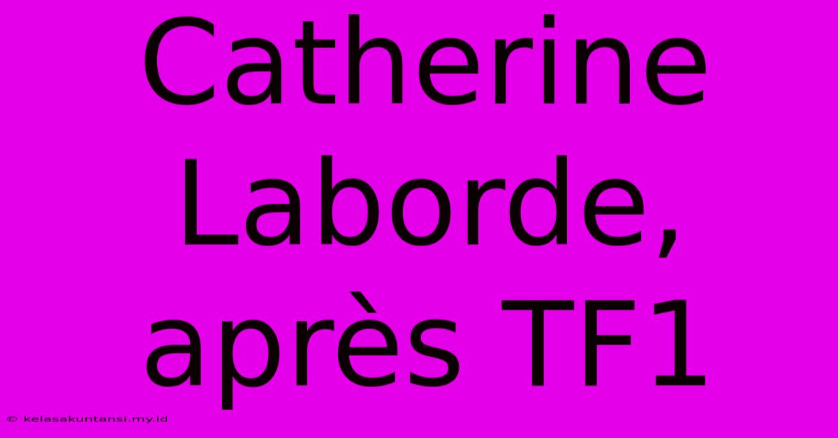 Catherine Laborde, Après TF1