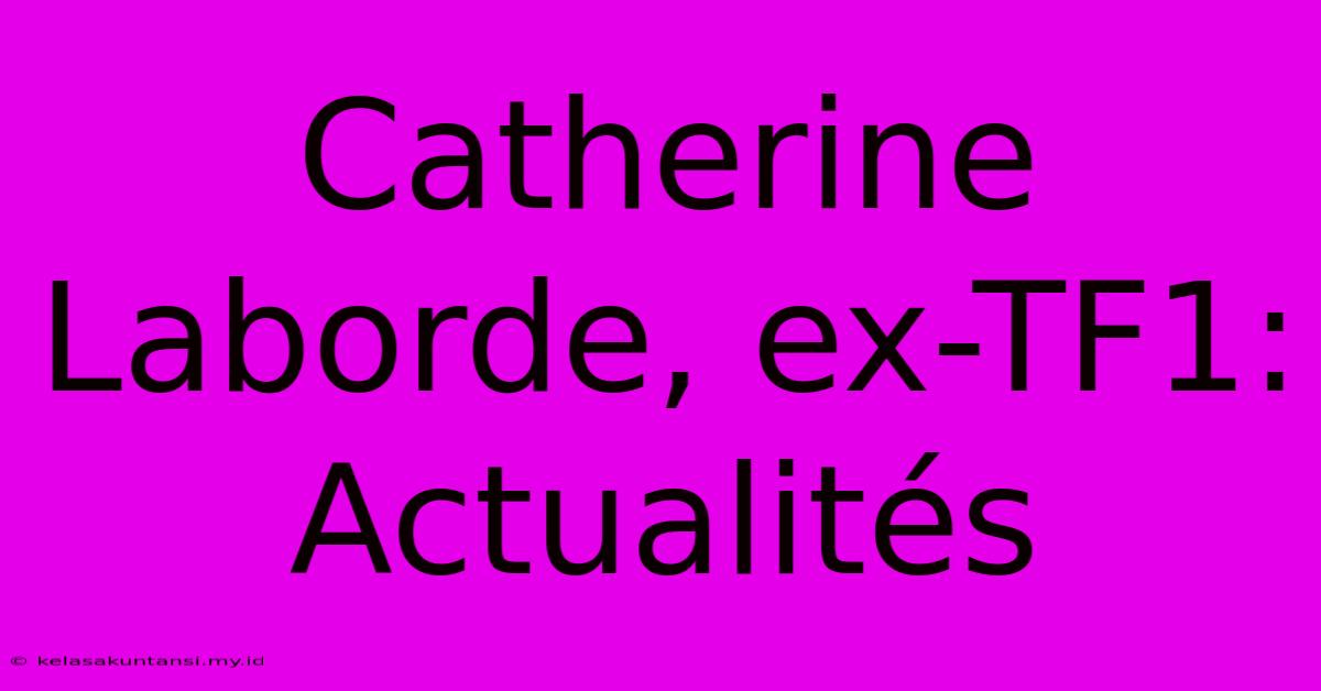 Catherine Laborde, Ex-TF1: Actualités