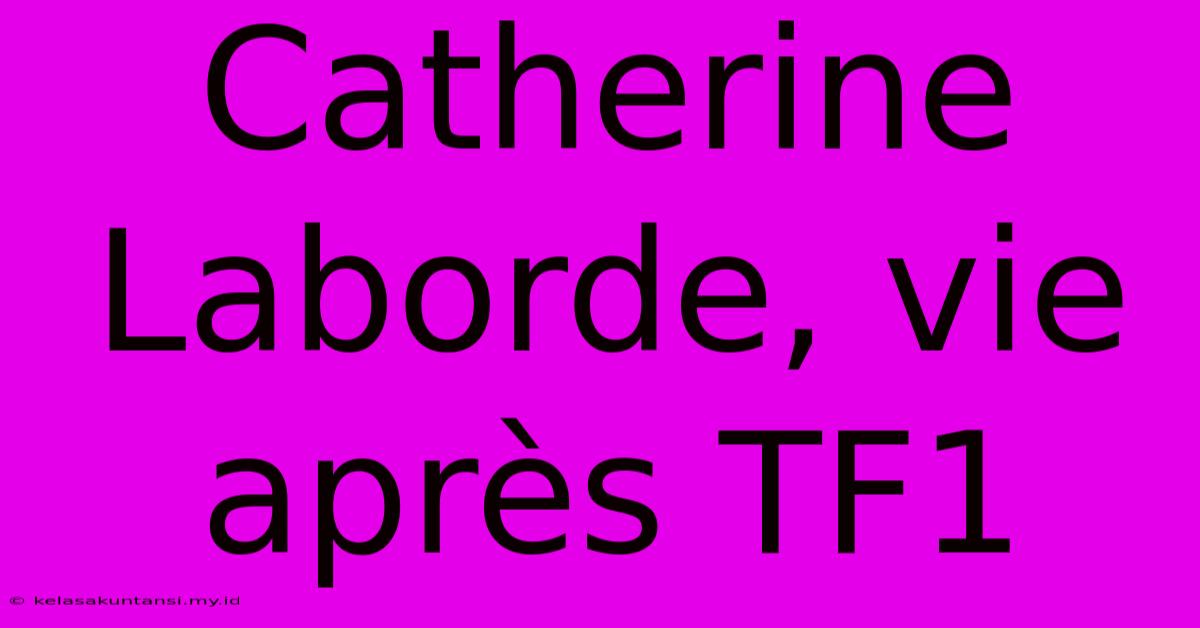 Catherine Laborde, Vie Après TF1