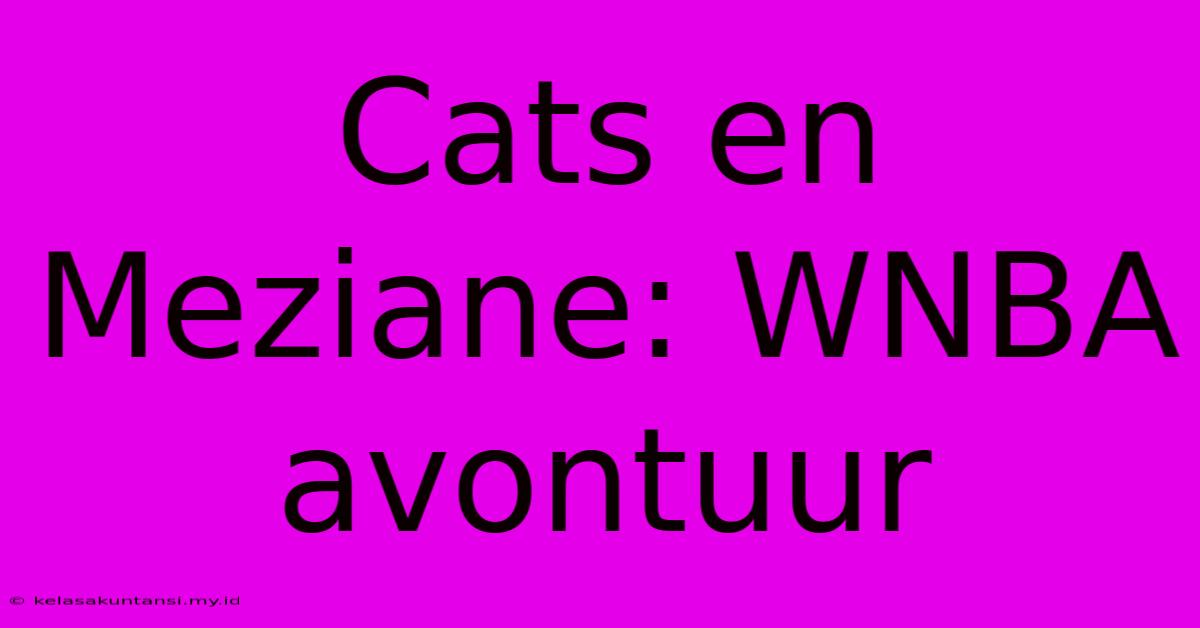 Cats En Meziane: WNBA Avontuur