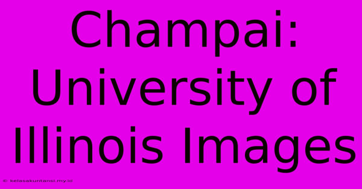 Champai: University Of Illinois Images